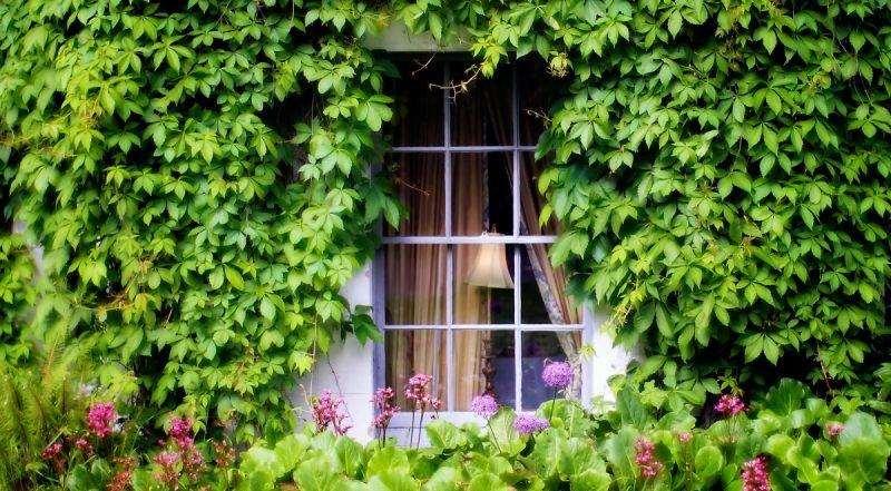 Barberstown Castle Hotel Straffan ภายนอก รูปภาพ