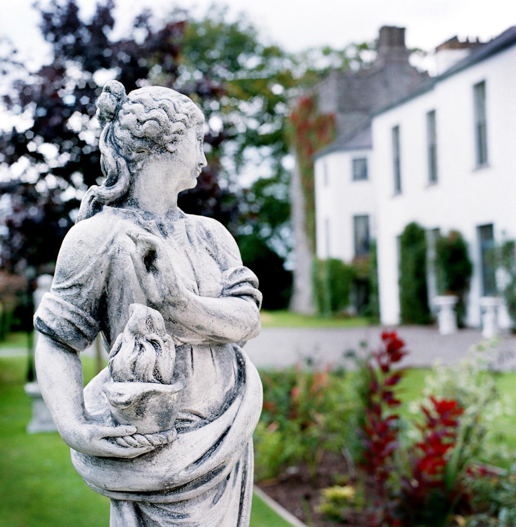 Barberstown Castle Hotel Straffan ภายนอก รูปภาพ